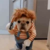 🐶Pҽƚʂ🐱 HAʅʅσɯҽҽɳ 🎃 9