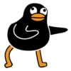Black Duck 8