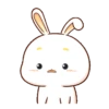 Lovely Bunny 7