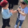 Hasbulla Magomedov 3 🤪 Mov 7