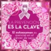 CAɳƈҽɾ ԃҽ MAɱA #1 🎗️🩷 14