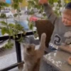 Hasbulla Magomedov 3 🤪 Mov 8
