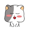 White cat 🐈♥ Mov 9
