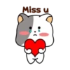 White cat 🐈♥ Mov 10