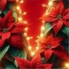 Abc Navideño🎄💞3🇵🇪Movi 13