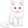 🧿Gatitos gif🐈🐱 7