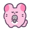 Pink chinchilla 🩷🐀 MOV 9