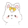 🐰 RiBboN RaBbIt 🐰(Mov) 11