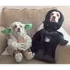 🐶Pҽƚʂ🐱 HAʅʅσɯҽҽɳ 🎃 15