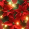 Abc Navideño🎄💞3🇵🇪Movi 14