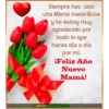 Feliz Año Nuevo "Frases" 10