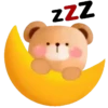 cute bear mov 7