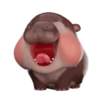 MooDoong Hippo 🦛 MOV 11