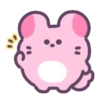 Pink chinchilla 🩷🐀 MOV 10