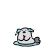 Tiny Animals 💖MOV 9