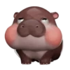 MooDoong Hippo 🦛 MOV 14