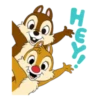 Chip & Dale ♥🐿 Mov 11