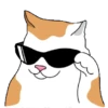 🧿Gatitos gif🐈🐱 10