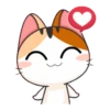 Gatito Calico_VR1 8