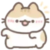 Fatty cats 🐱 MOV 10