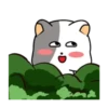 White cat 🐈♥ Mov 12