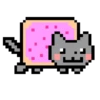 🧿Gatitos gif🐈🐱 11