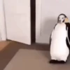 Perritos!!! 19