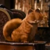 garfield mov 11
