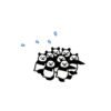 Small Pandas 🐼 💖 MOV 9