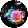 Rosas💞1🇵🇪Movi 15