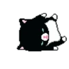 🧿Gatitos gif🐈🐱 12