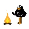 Black Duck 12