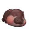 MooDoong Hippo 🦛 MOV 15