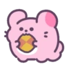 Pink chinchilla 🩷🐀 MOV 14