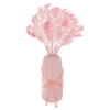 pink  (mov) 20