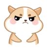 hamsters mov 13