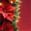 Abc Navideño🎄💞3🇵🇪Movi 21