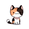 Gatito Calico_VR1 12