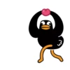 Black Duck 16