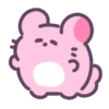 Pink chinchilla 🩷🐀 MOV 16