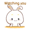 Lovely Bunny 12