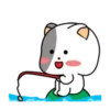 White cat 🐈♥ Mov 18