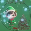Variaditos Navideño ✺19🇻🇪Mov 20