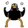 Black Duck 17