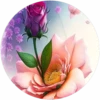 Rosas💞1🇵🇪Movi 19