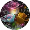 Rosas💞1🇵🇪Movi 20