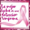 CAɳƈҽɾ ԃҽ MAɱA #1 🎗️🩷 21