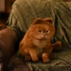 garfield mov 17