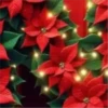 Abc Navideño🎄💞3🇵🇪Movi 23