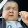Hasbulla Magomedov 3 🤪 Mov 22